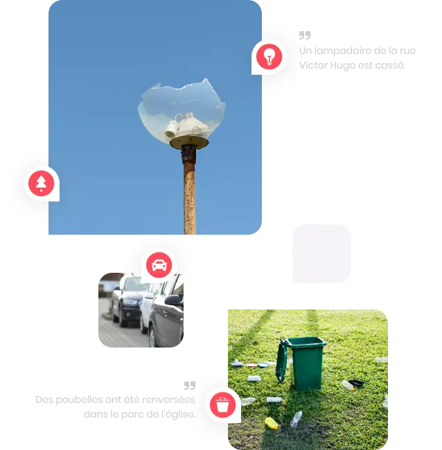 Citizen as Signaleo user